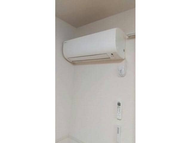  クリプトメリア