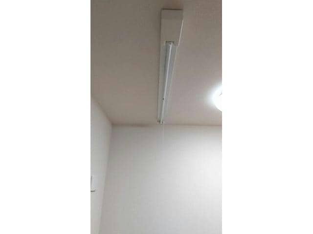  クリプトメリア