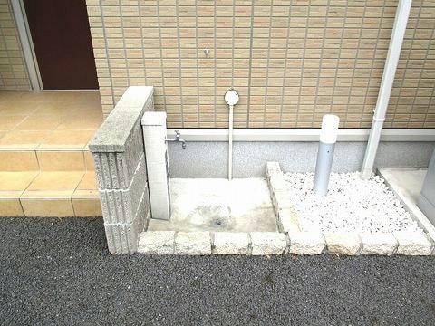  クリプトメリア