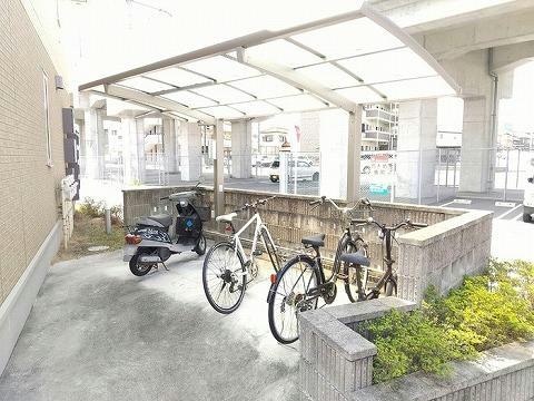  クリプトメリア