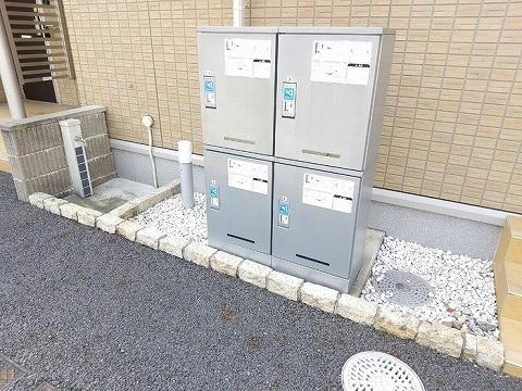  クリプトメリア