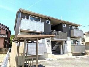 エーデルワイス