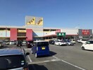 アピタ阿久比店(スーパー)まで850m カーサセレノⅡ