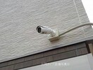  パーシモン