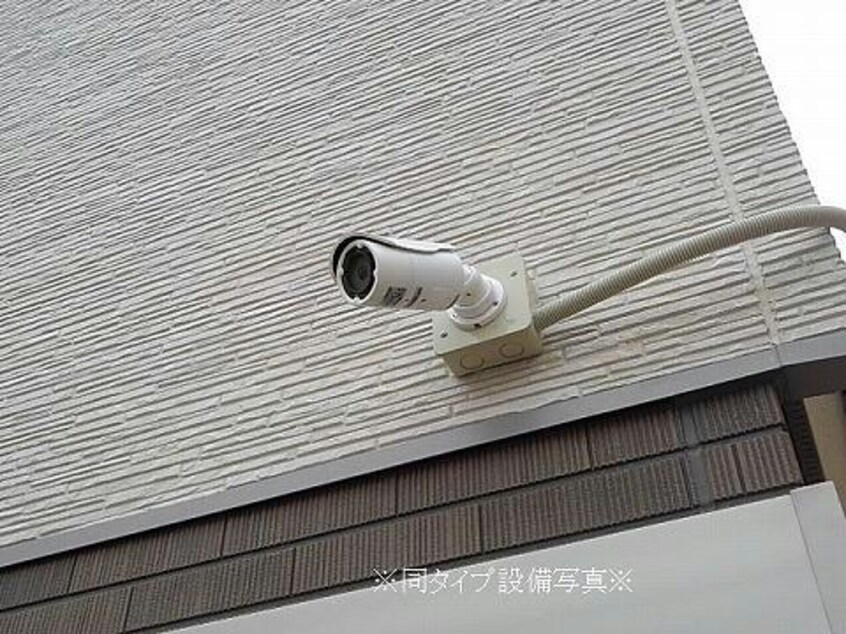 パーシモン
