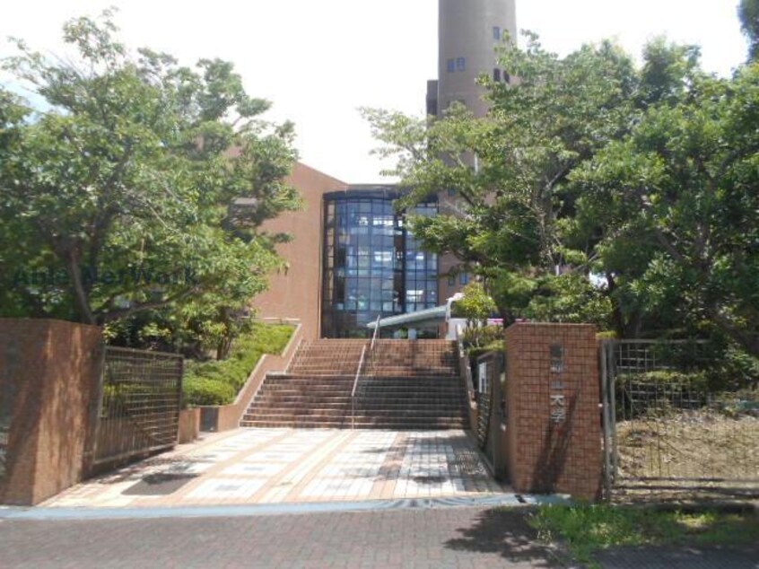 私立高野山大学河内長野キャンパス(大学/短大/専門学校)まで3281m 木下ハイツ