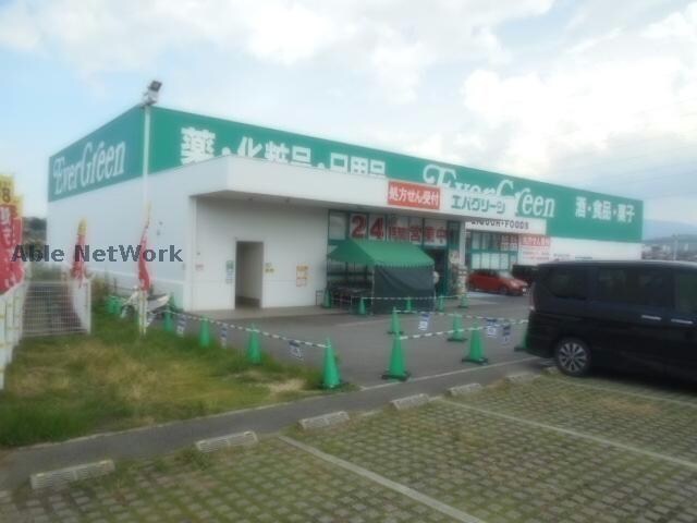 エバグリーン狭山店(ドラッグストア)まで329m COZY HOUSE　GUMINOKI