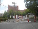 私立近畿大学医学部(大学/短大/専門学校)まで1032m COZY HOUSE　GUMINOKI