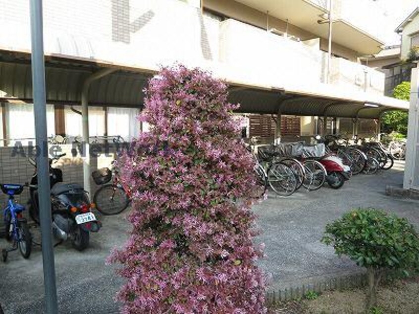  リビオ金剛