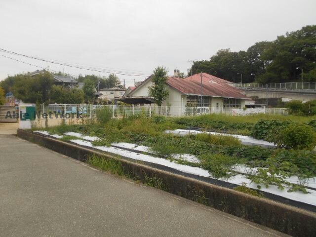 富田林市立錦郡幼稚園(幼稚園/保育園)まで531m パルコート