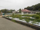 富田林市立錦郡幼稚園(幼稚園/保育園)まで531m パルコート