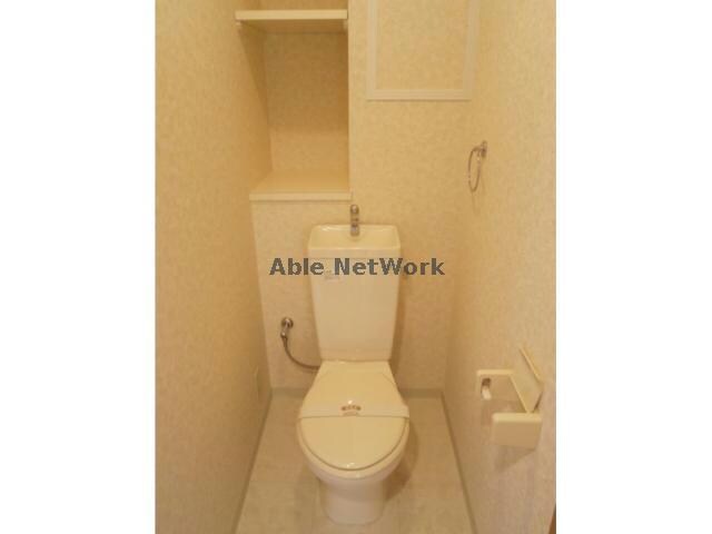  ホワイトロートス