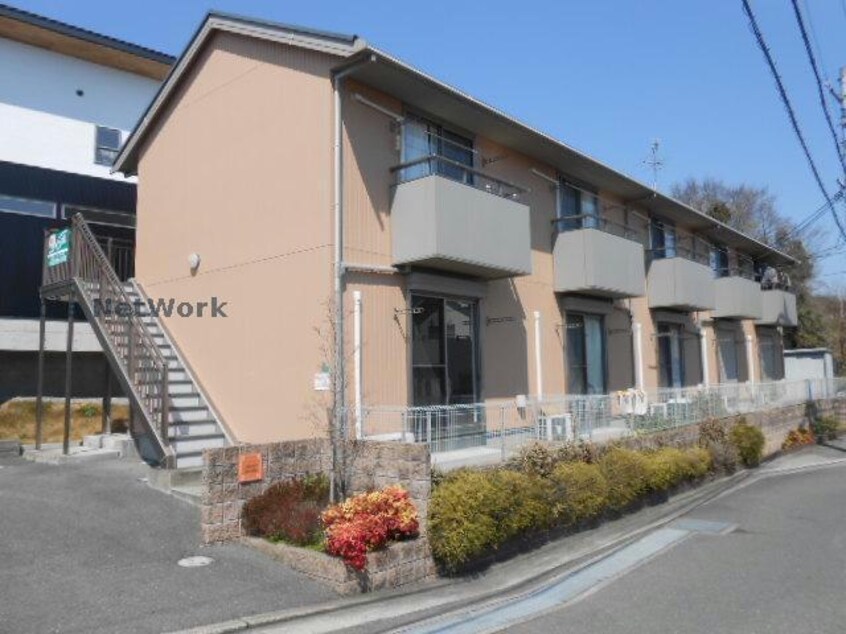  セントポーリア