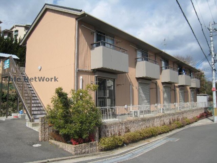  セントポーリア