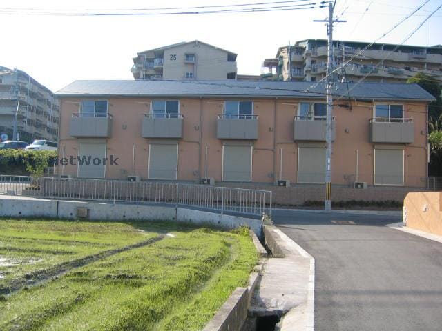  セントポーリア