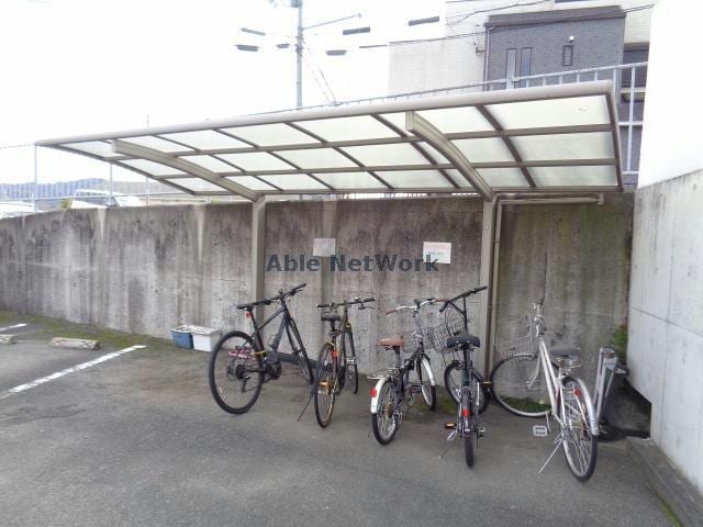  セントポーリア