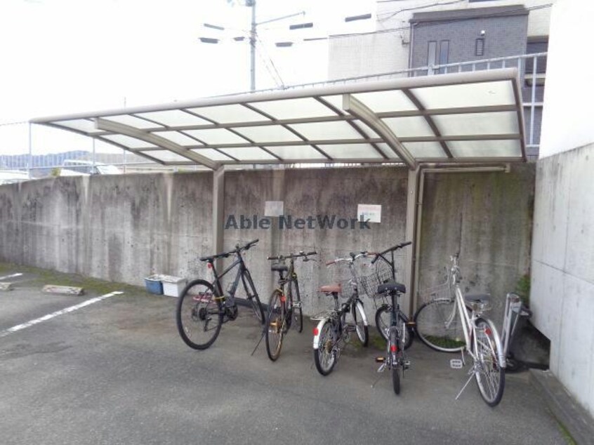  セントポーリア