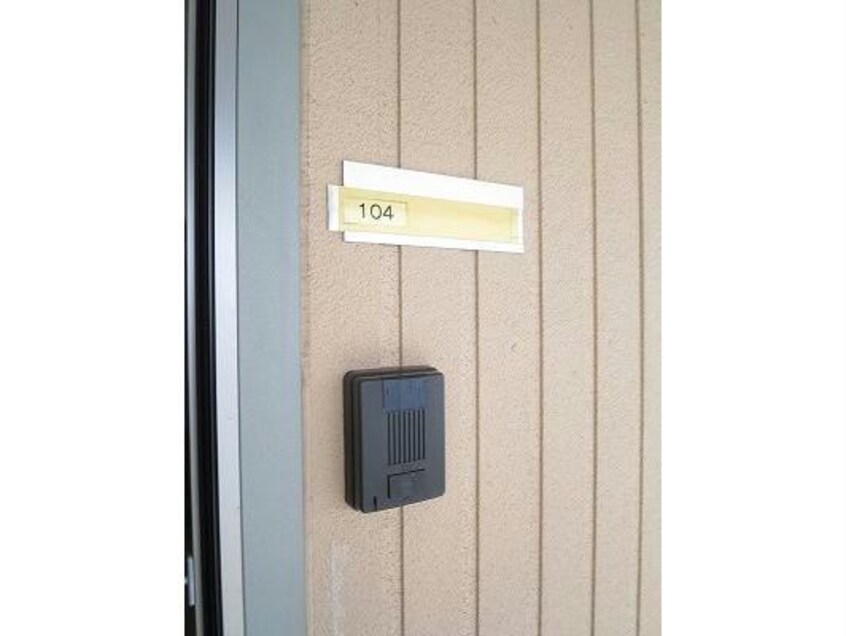  セントポーリア