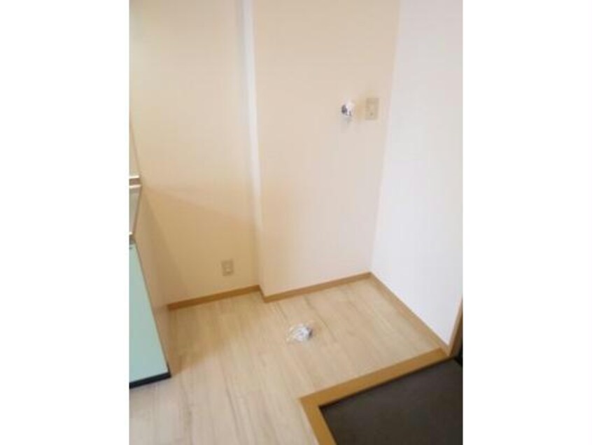  セントポーリア