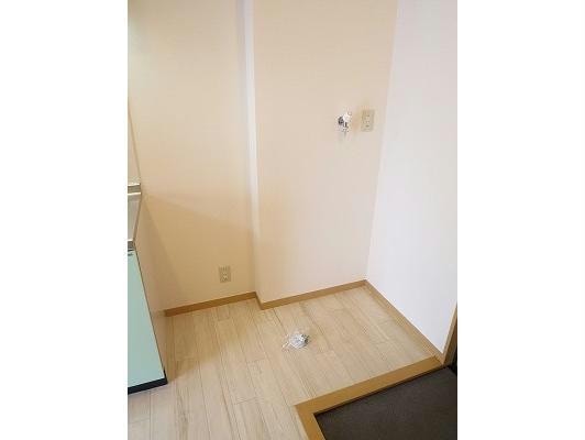  セントポーリア