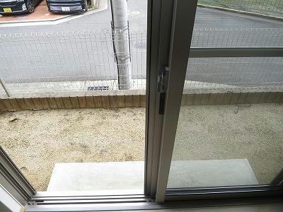  セントポーリア