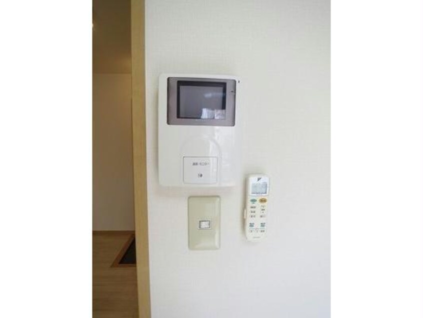  セントポーリア