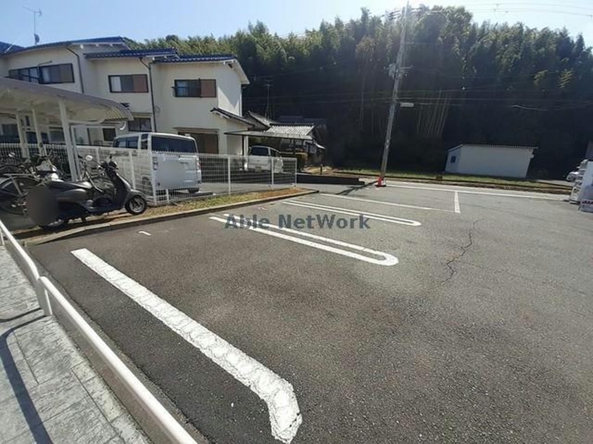  シェーネ　エレガンシア