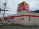サンドラッグ半田店(ドラッグストア)まで476m フィオーレ・ガーデン