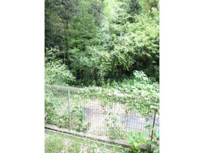  ヴェルドミールⅡ