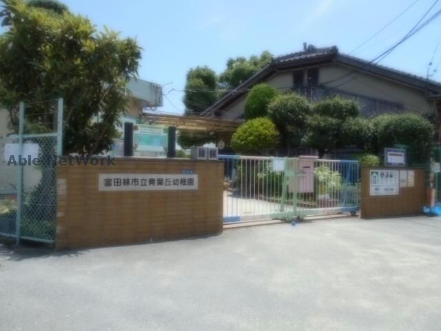 富田林市立青葉丘幼稚園(幼稚園/保育園)まで299m シーズンハイツ