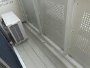  ビッグ　ウエスト