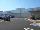 サンディ富田林駅前店(スーパー)まで781m ジュリアン