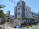 大阪狭山市立南第二小学校(小学校)まで344m ヴィティス・ハイツ