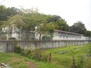 富田林市立彼方幼稚園(幼稚園/保育園)まで664m カスカード