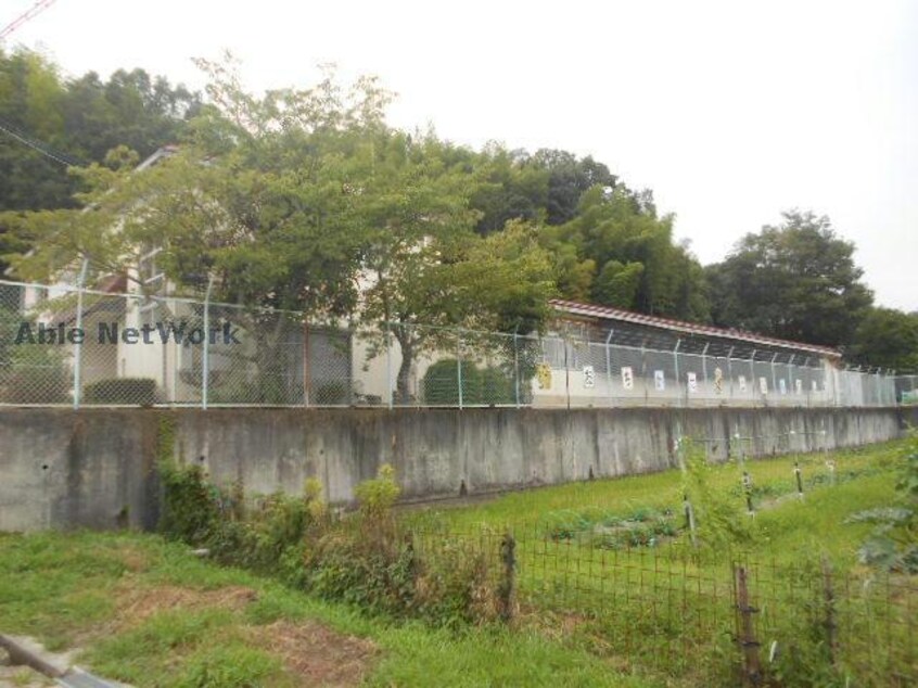 富田林市立彼方幼稚園(幼稚園/保育園)まで664m カスカード