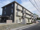  ファミリア金剛