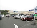 サンディ三日市店(スーパー)まで280m 三日市橋ユタカマンション