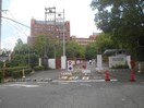 私立近畿大学医学部(大学/短大/専門学校)まで2346m ファミリア