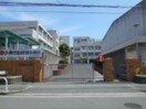 堺市立野田中学校(中学校/中等教育学校)まで522m シャーメゾン和田