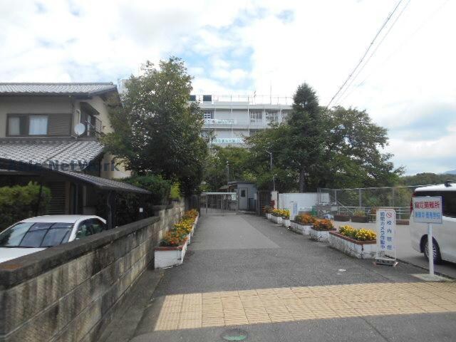 私立清教学園中学校(中学校/中等教育学校)まで1300m メゾン　グレイス