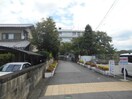 私立清教学園中学校(中学校/中等教育学校)まで1300m メゾン　グレイス