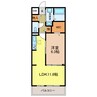 メゾンルミネ若松 1LDKの間取り