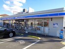 ローソン富田林若松町店(コンビニ)まで876m ラ・カーサ　ドルチェ
