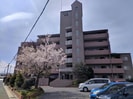 セルサス和泉の外観
