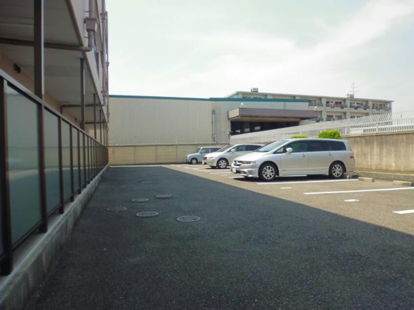  えるどらーど