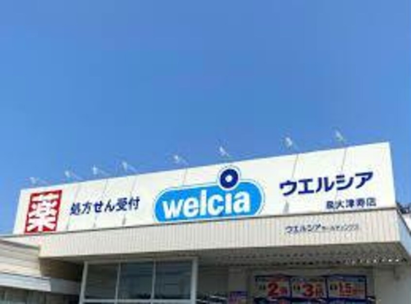 ウエルシア泉大津寿店(ドラッグストア)まで523m シャルマン