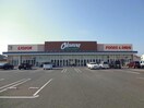 オークワ忠岡店(スーパー)まで775m ハニーエストゥディオ