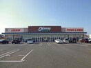 オークワ忠岡店(スーパー)まで778m ハニーエストゥディオ