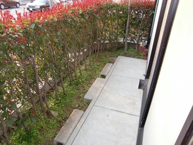  アトリウム１２