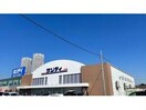 サンディ泉大津旭店(スーパー)まで531m カルティエ３Ｍ